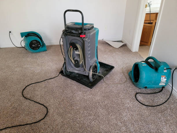 Best Water damage cleanup near me  in Frankfort, MI