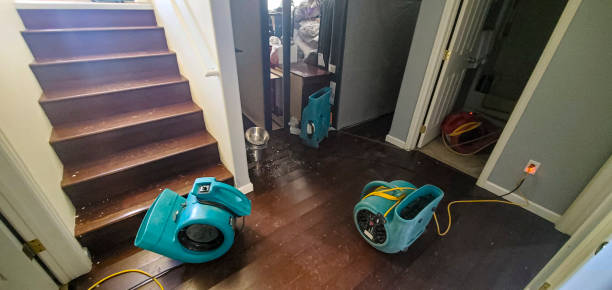 Best Fire Damage Restoration  in Frankfort, MI